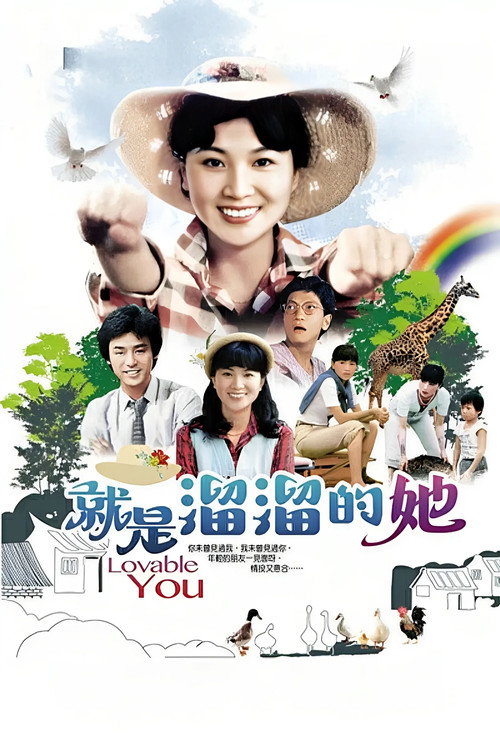 就是溜溜的她 海报